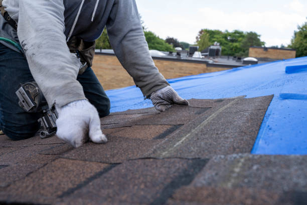 Trusted Asbury, IA Roofing Contractor Experts
