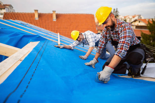 Best Roof Repair Services  in Asbury, IA