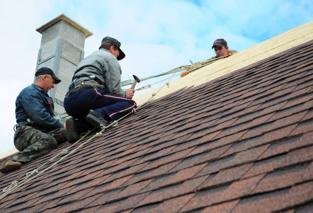 Best Roof Repair Services  in Asbury, IA