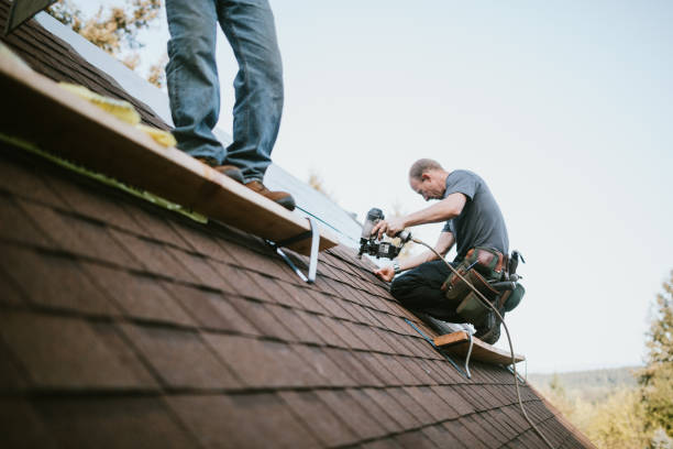 Best Metal Roofing Contractor  in Asbury, IA
